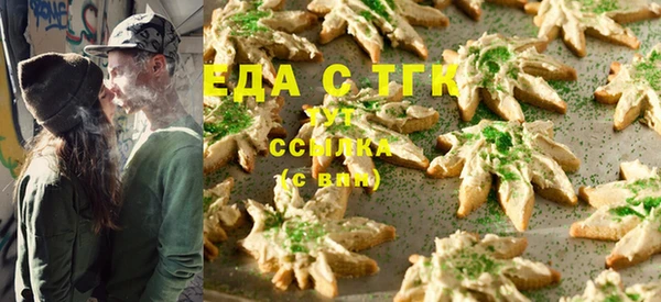 индика Сатка