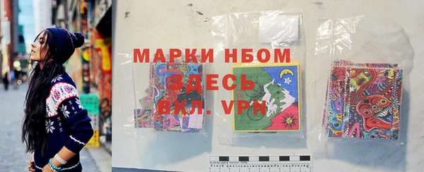 индика Сатка