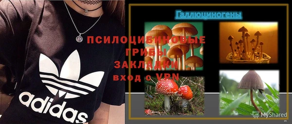 каннабис Белокуриха
