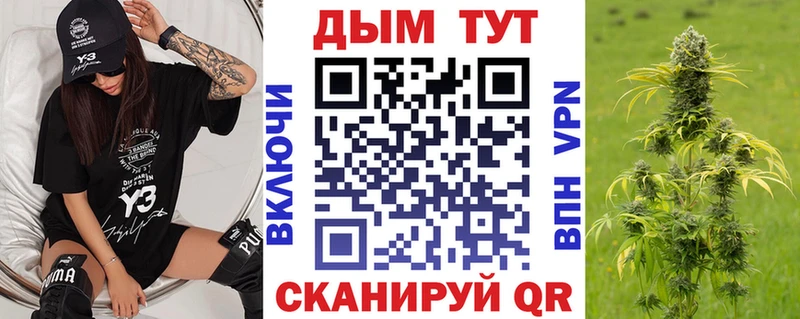blacksprut зеркало  Тосно  Конопля индика 